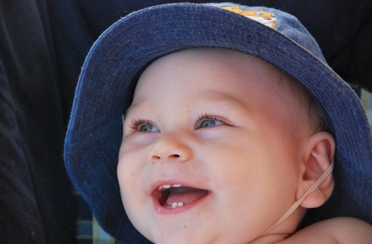 Gigi bayi. (pixabay)
